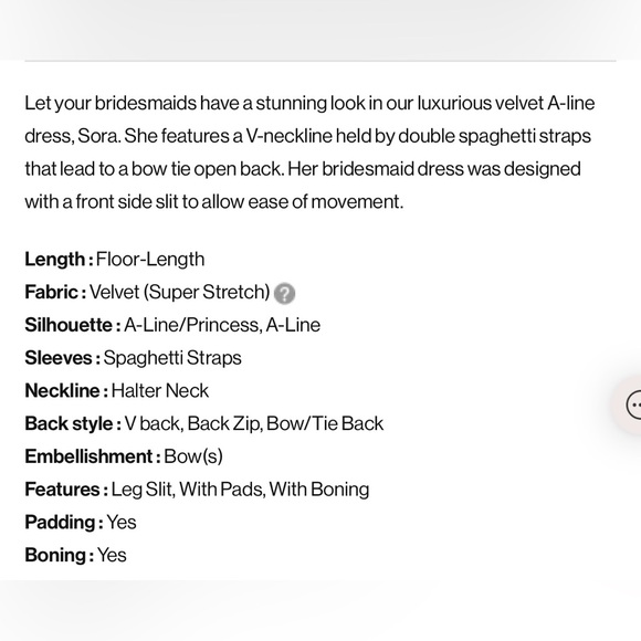 Azazie Sora Terracotta A-Line Halter Bow Velvet Bridesmaid Dress - Picture 8 of 9